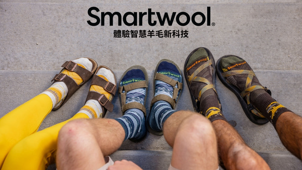 SmartWool 減震透氣 女 羊毛襪 Hike Mountain Moon Crew Socks SW001586001 女 黑