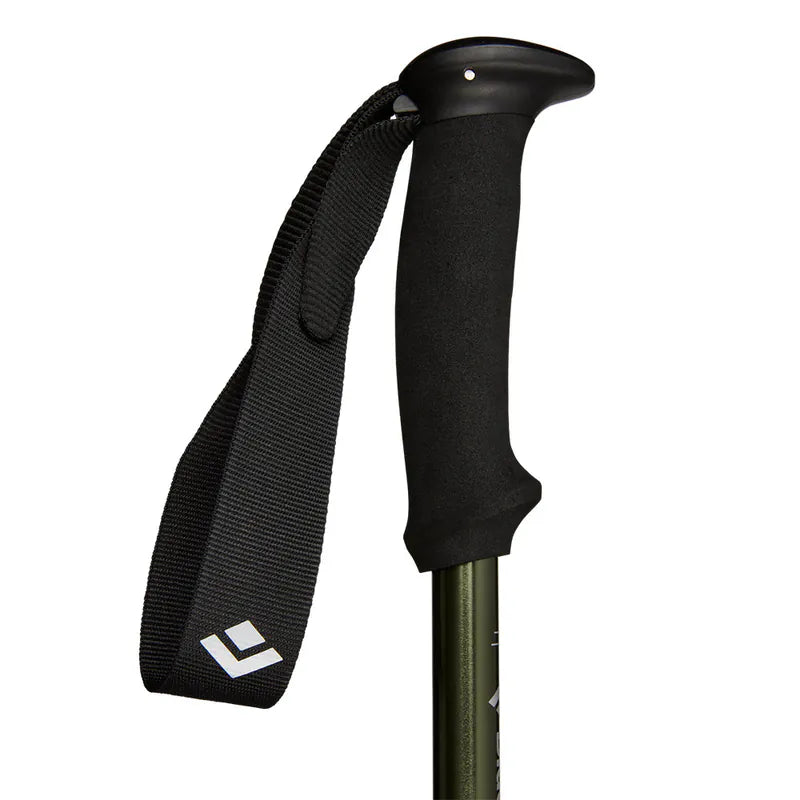 Black Diamond S24 Explorer 3 登山杖 一對 112551