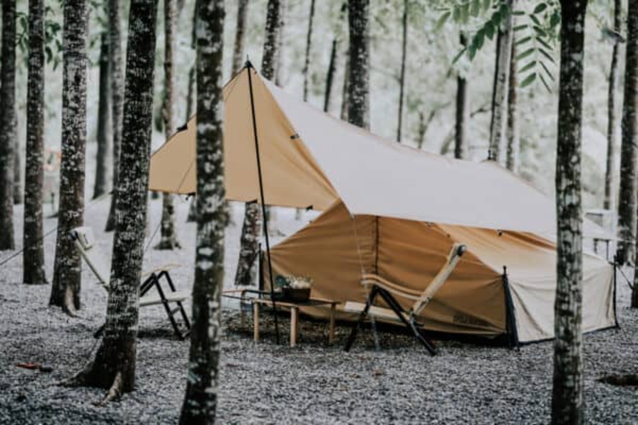 【TiiTENT】沐夏帳  MuchaTENT 棉感兩人睡帳 TM160