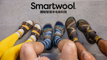 SmartWool 減震透氣 女 羊毛襪 Hike Mountain Moon Crew Socks SW001586001 女 黑