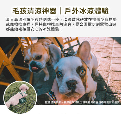 iO 長效冰磚 iCP220 iCP420 FDA、SGS認證 ICP-220、ICP-420