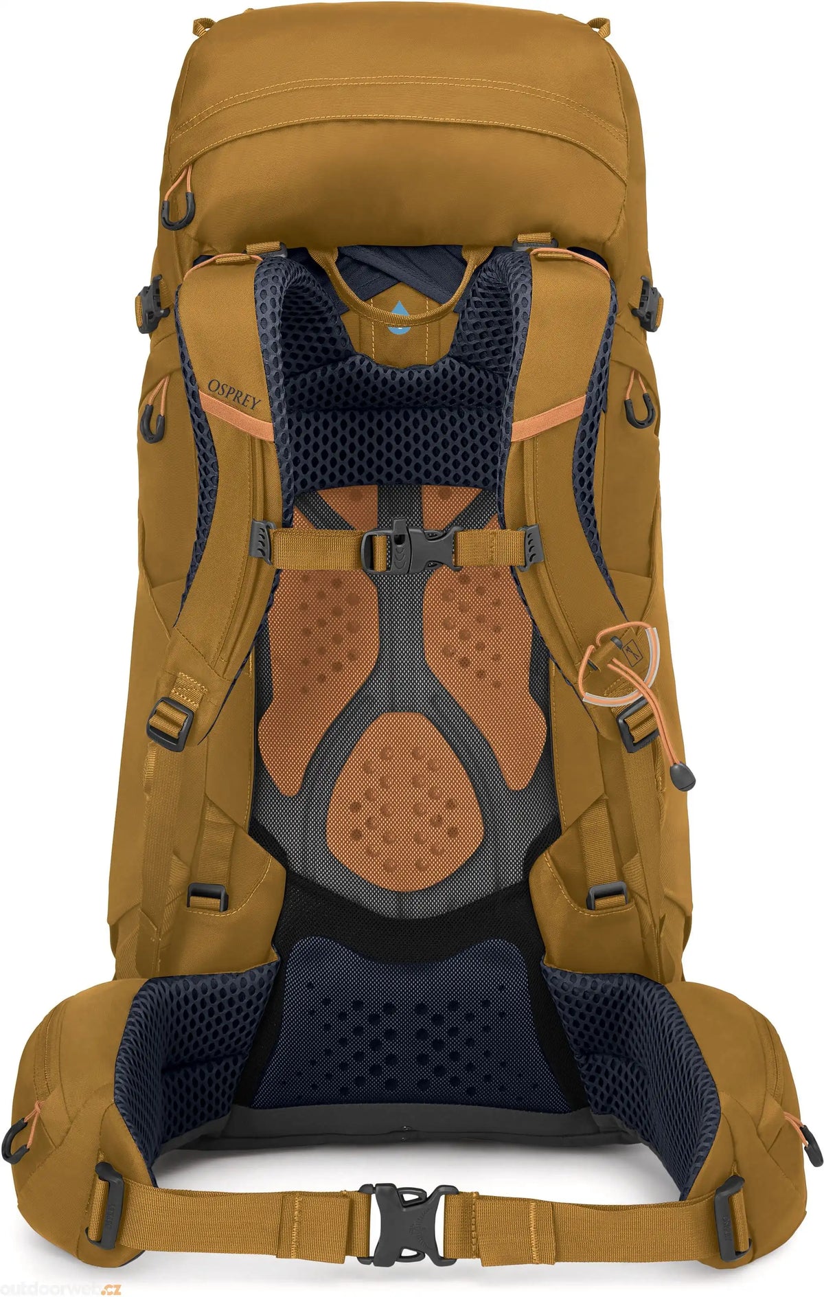 Osprey KYTE 48 女 登山背包 大麥棕 10007496