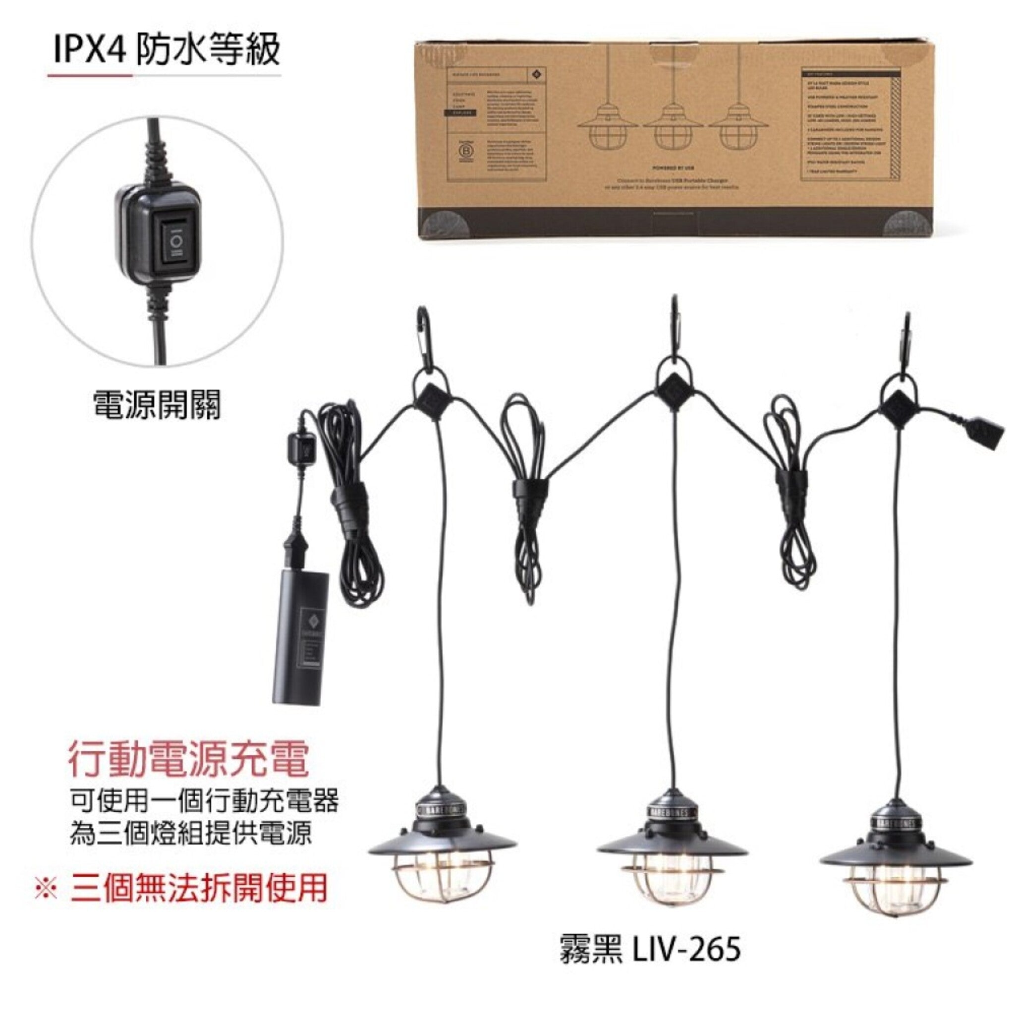 Barebones Edison String Lights 串連垂吊營燈 霧黑 LIV-265