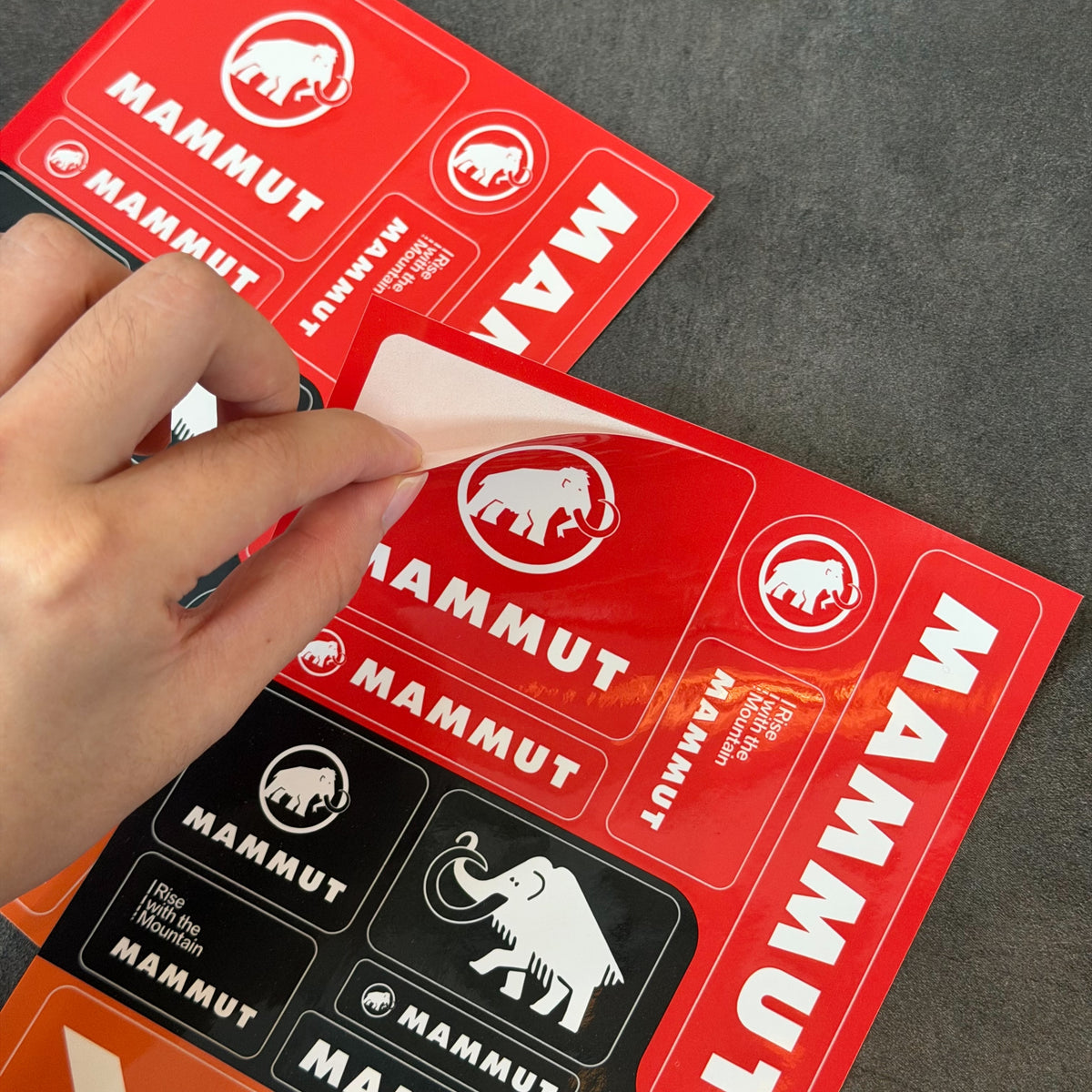MAMMUT 長毛象 限定貼紙 絕版品 (非賣品，會員兌換限定)